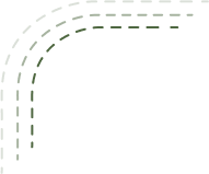 borde de contacto