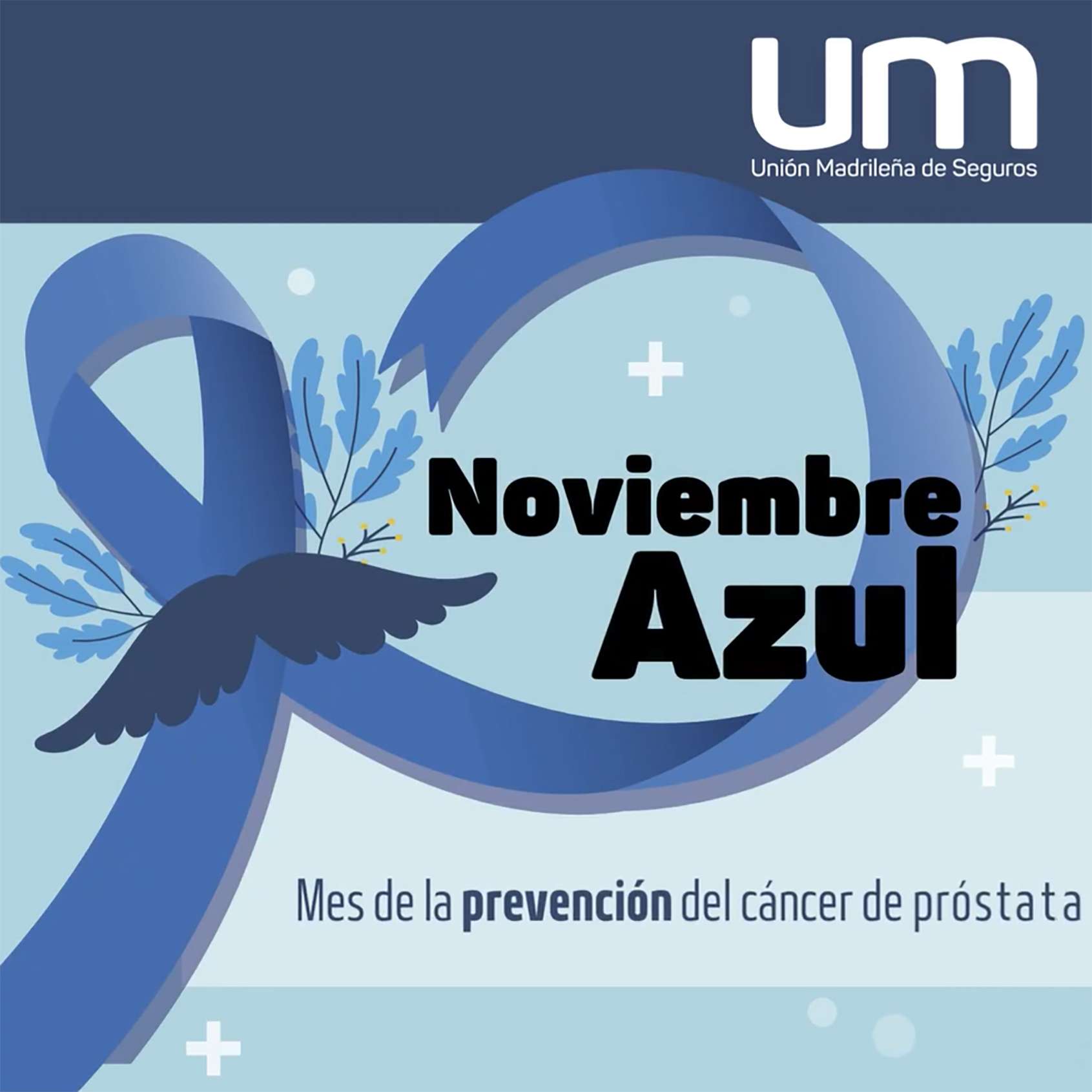 Noviembre Azul - Mes de la prevención del cáncer de próstata